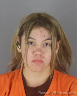 Mugshot of JESSICA MAE BRUNELLE