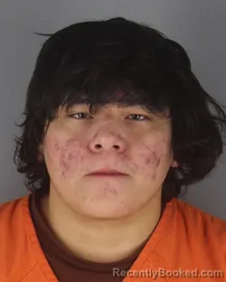 Mugshot of SHAWN TY BROWN