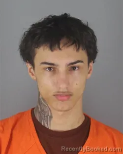 Mugshot of NEVIN KENNEDY TREAT