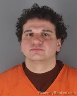 Mugshot of MATTHEW ARMAN ANSARIPOUR