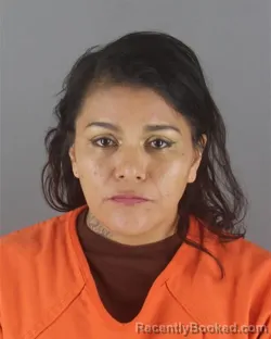 Mugshot of WINONA ELAINE BELLANGER