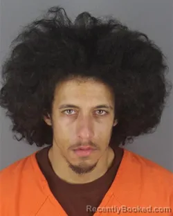 Booking photo from Hennepin County, Minnesota