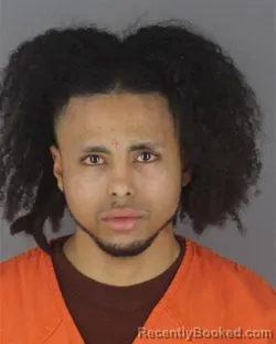 Booking photo from Hennepin County, Minnesota