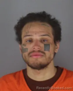 Booking photo from Hennepin County, Minnesota