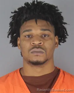 Mugshot of ARA RASHAE DAVIS