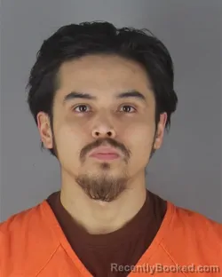 Mugshot of WAKEEN TEHCUMSEH WHITE