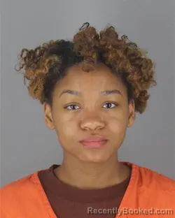 Booking photo from Hennepin County, Minnesota