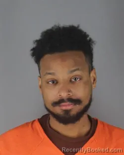 Booking photo from Hennepin County, Minnesota