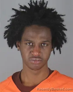 Booking photo from Hennepin County, Minnesota