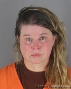 Mugshot of LILLIAN ASHLEY HOLLIS