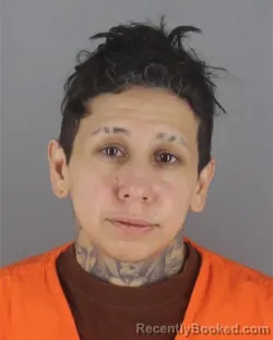 Booking photo from Hennepin County, Minnesota