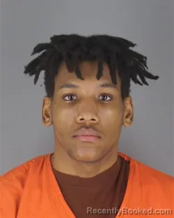 Booking photo from Hennepin County, Minnesota