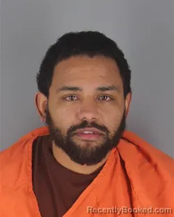 Booking photo from Hennepin County, Minnesota