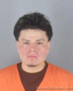 Mugshot of WALTER JHOVANNI PUMA LEMA