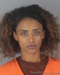 Mugshot of FEVEN NADEW TEFERIE