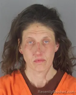 Mugshot of ASHLEY ROSE HANSON