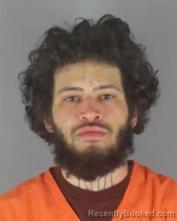 Mugshot of WILLIE JAMES WALLACE