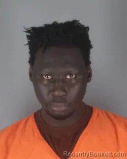 Mugshot of SEYDINA MOUHAMED NGOM