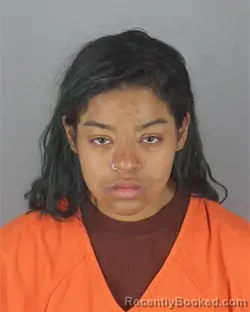 Mugshot of ALYVIANA MARIA SMITH