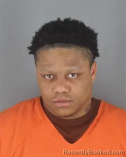 Mugshot of TYRON EUGENE ANDERSON
