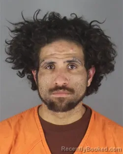 Mugshot of BRANDON MICHEAL RICE