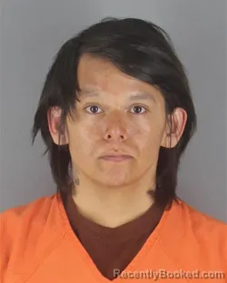 Mugshot of TORREY ALLEN PETITE