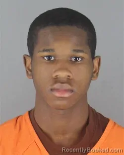 Mugshot of BARRY EARL JR SHINAUL