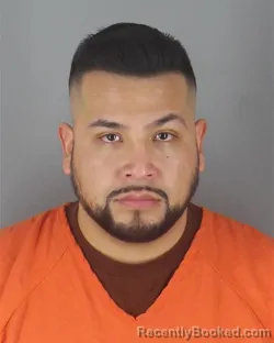 Mugshot of JOVANY ADAME ALVARADO
