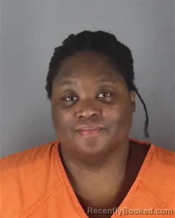 Mugshot of ERICA RASHELL HOLLINGSWORTH