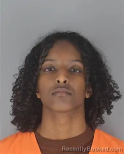 Mugshot of ZAKARIYA ABDINASIR ALI