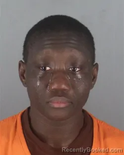 Mugshot of SARAH KORTO PYNE