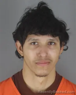 Mugshot of LUIS MEJIA HERNANDEZ