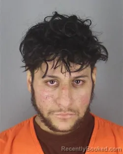 Mugshot of JOEL ALBERTO CASTRO-MEZA