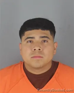 Mugshot of FERNANDO TEMICH LEDESMA