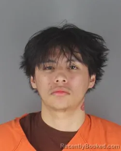 Mugshot of DEE JAY BELLANGER