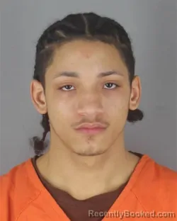 Mugshot of DAVIEN LASHAWN ROSS BOUDREAU FITZ