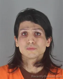 Mugshot of DAVID AMED IRIZARRY ARROYO