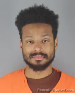 Mugshot of TYREESE DAVID ARNOLD