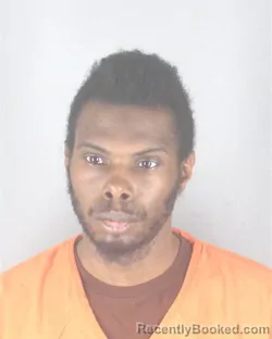 Mugshot of ORLANDO LANELL JR HOLDEN