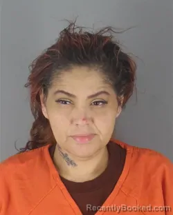 Mugshot of DESIREE RENEE THINELK