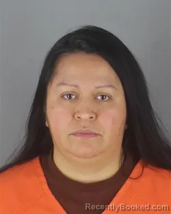 Mugshot of KARLINA VIDAL-SOLIS
