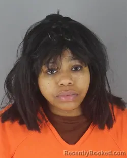 Mugshot of ERICA MONIQUE DESHAW MCCOVINS