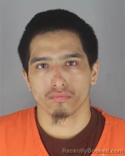 Mugshot of SHAWN EDWARD BELLANGER