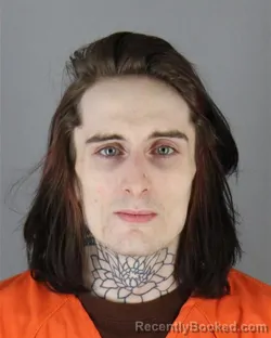 Mugshot of REECE MATTHEW MCELROY