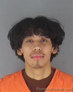 Mugshot of LUIS DAVID BLAS-GOMEZ