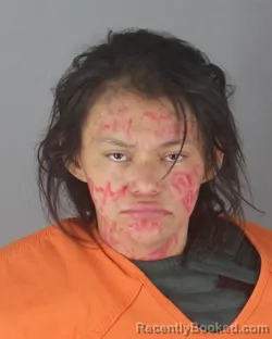 Mugshot of ELIZABETH LYNN FAIRBANKS