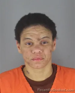 Mugshot of NICOLE WILLIAMS