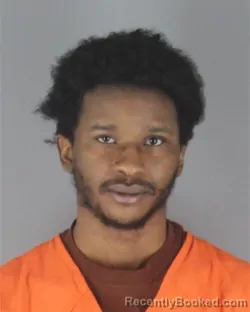 Mugshot of LEAMOR ARMON WILLIAMS