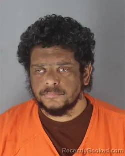 Mugshot of LEROY NEWSOM