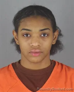 Mugshot of AMERA ELIZABETH DENISE JANKE